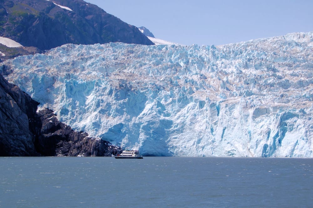 Cooper Landing Lodging Wildlife And Glacier Cruises In Alaska