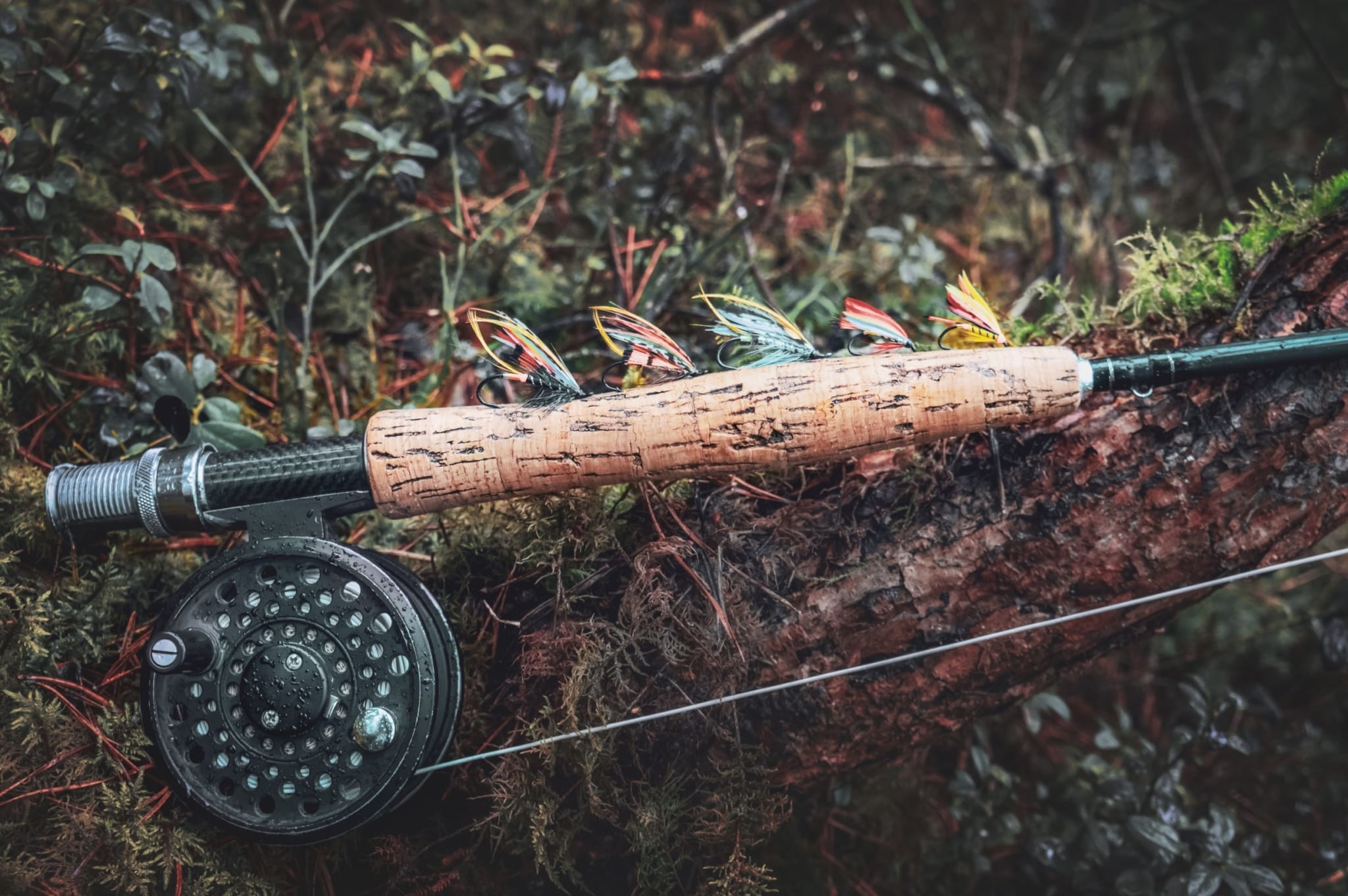Embarking on Your First Guided Salmon Fishing Adventure with Kenai Fly Fish  - Kenai Fly Fish
