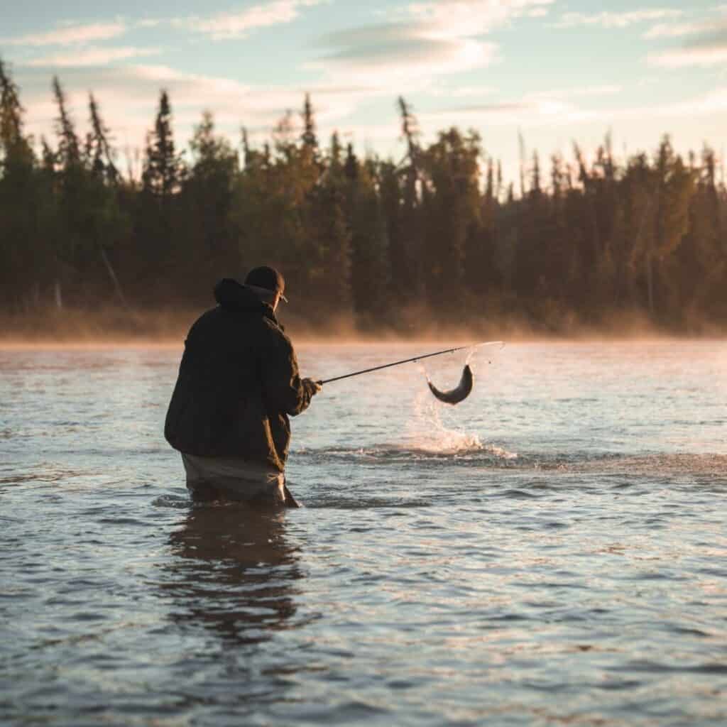 Sockeye Salmon Fishing In July Alaska
