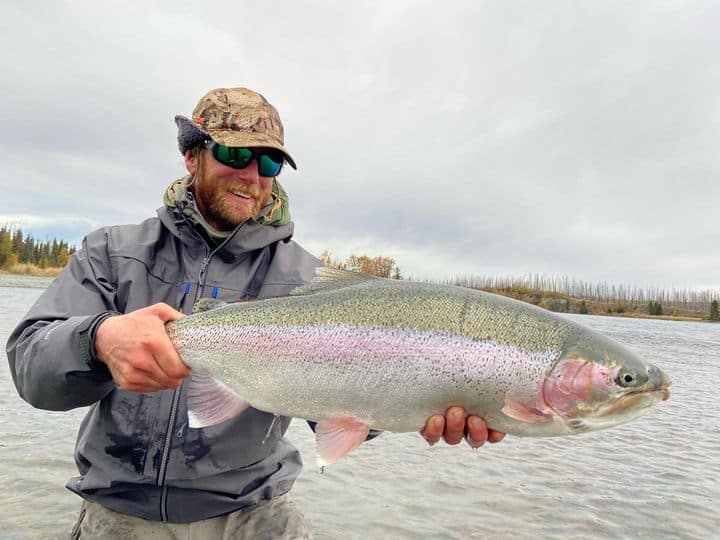 Guide holding a very large kenai river rainbow trout.