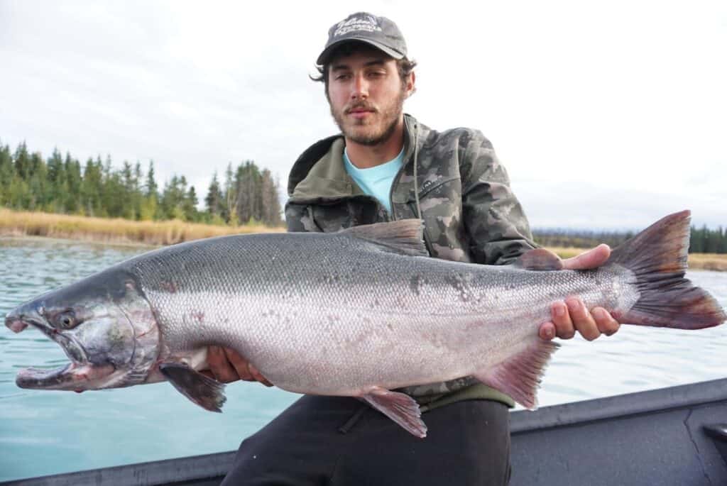Big fish caught on the Kenai River, Alaska, by a fisherman holding a large, silver salmon.
