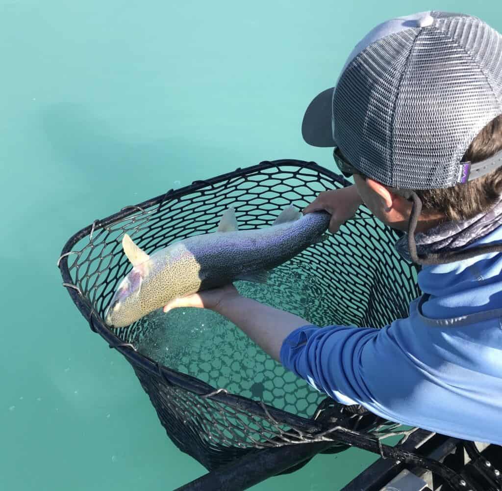 Alaska Rainbow Trout fishing in July