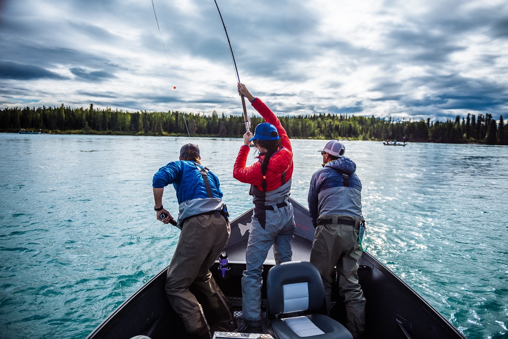 Anglers catching fishin on an alaska fly fishing trip