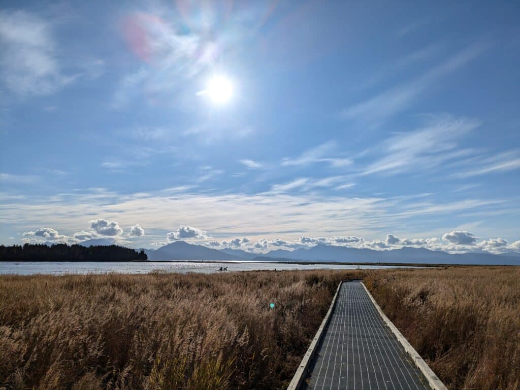 Sunlit landscape with a boardwalk leading through tall grasses towards a body of water and distant mountains.