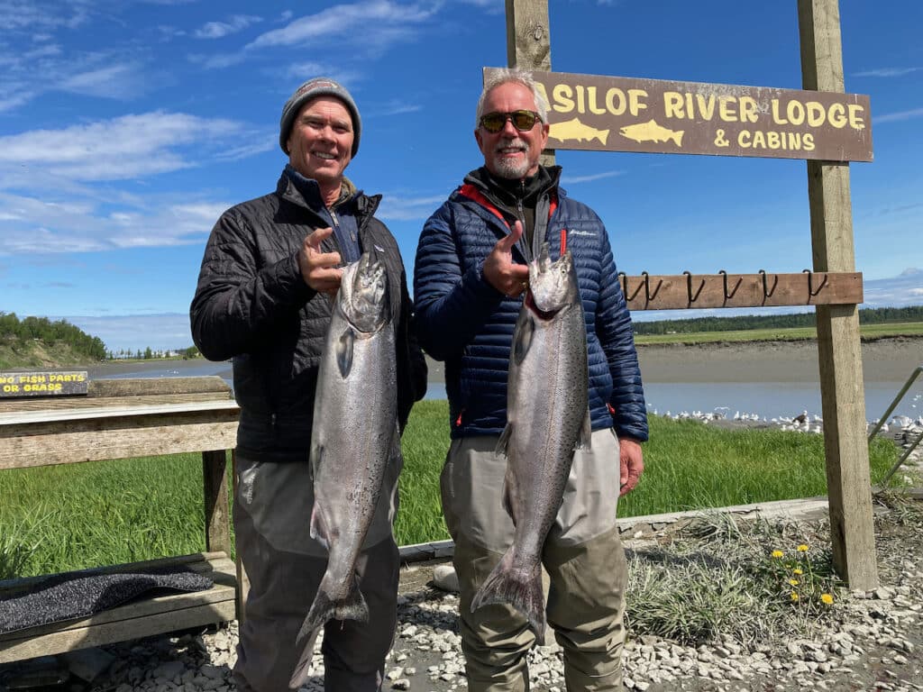 Kasilof River Hatchery King Salmon