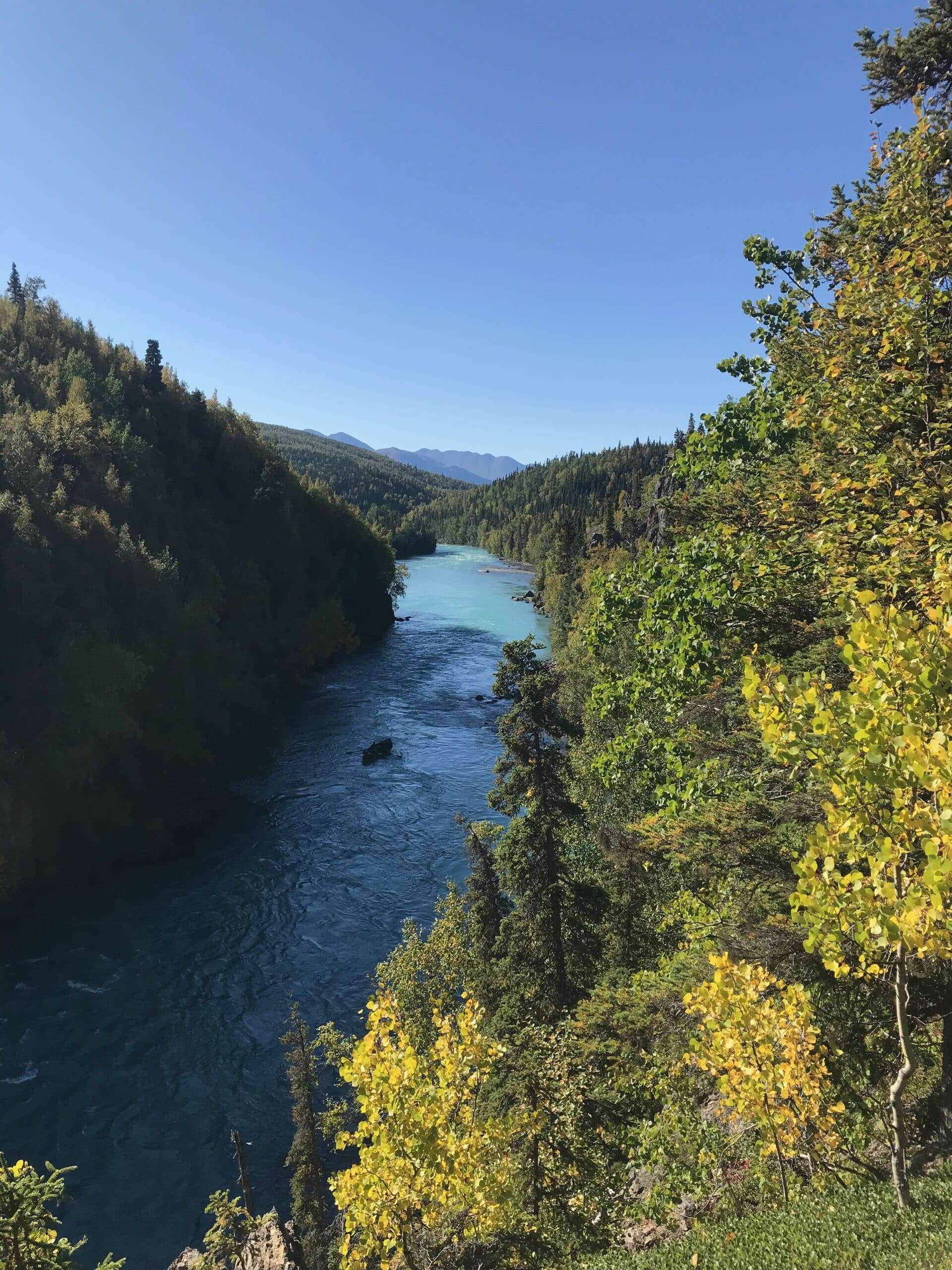 Scenic view of the Kenai River surrounded by lush green forests and rolling mountains under a clear blue sky.
