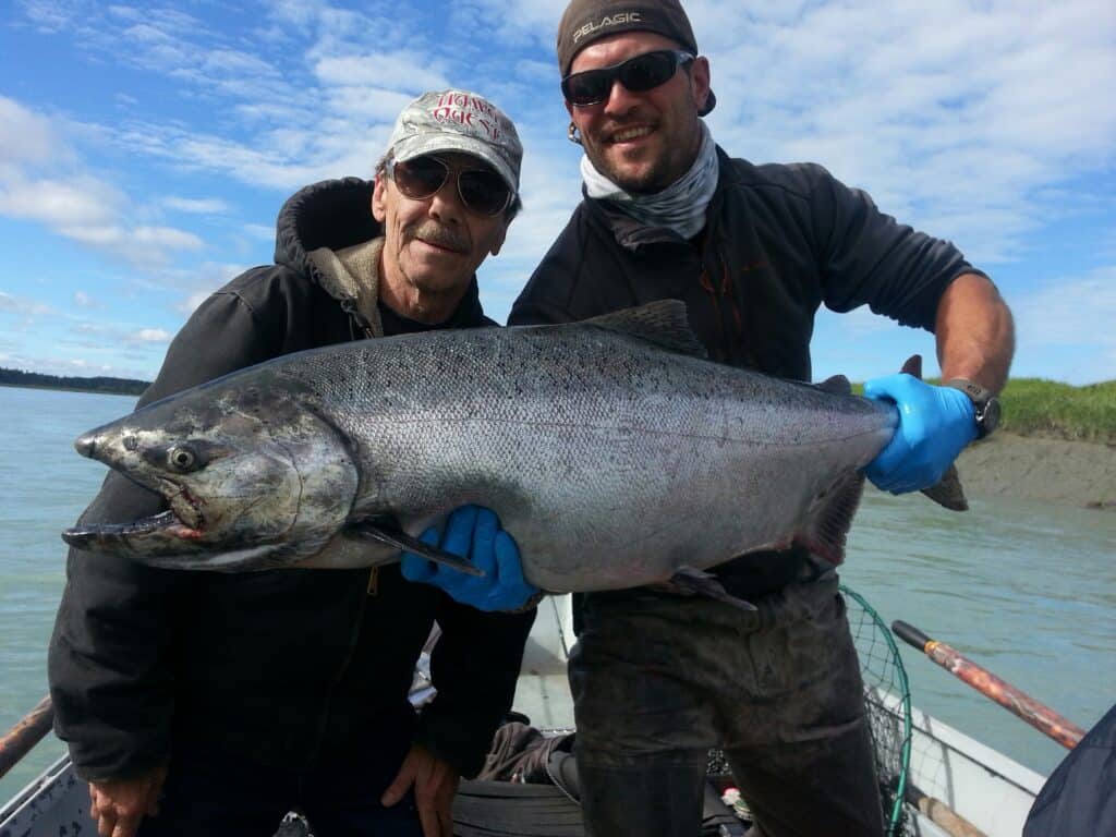 Large salmon caught on the Kenai River during a fishing trip at Kenai River Drifters Lodge.