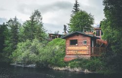 Secluded wooden lodge by the Kenai River surrounded by lush green trees and nature.