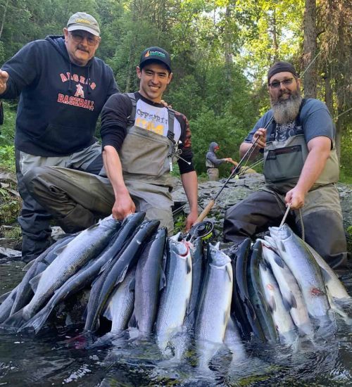 Limit Of Fish: Kenai River Fishing Charters