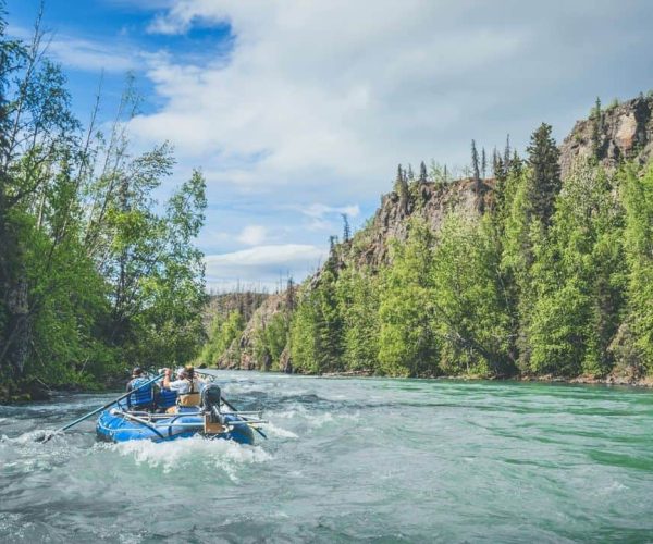 Alaska Fishing Charters: Kenai River