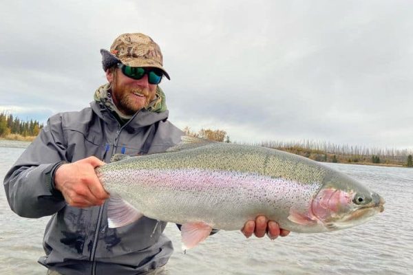 Guide holding a very large kenai river rainbow trout.