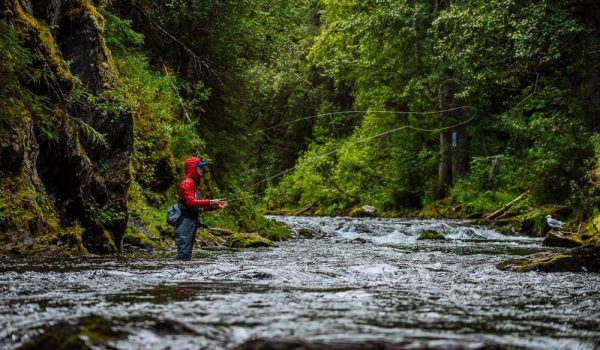 Angler fishing on the russian river